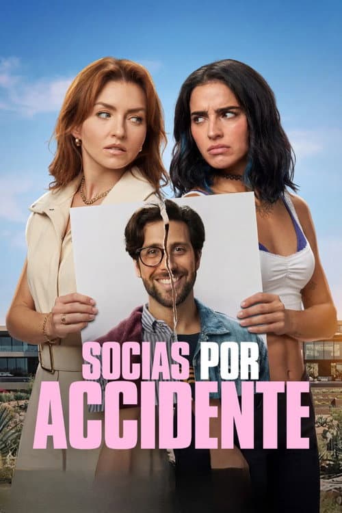 Accidental Partners poster